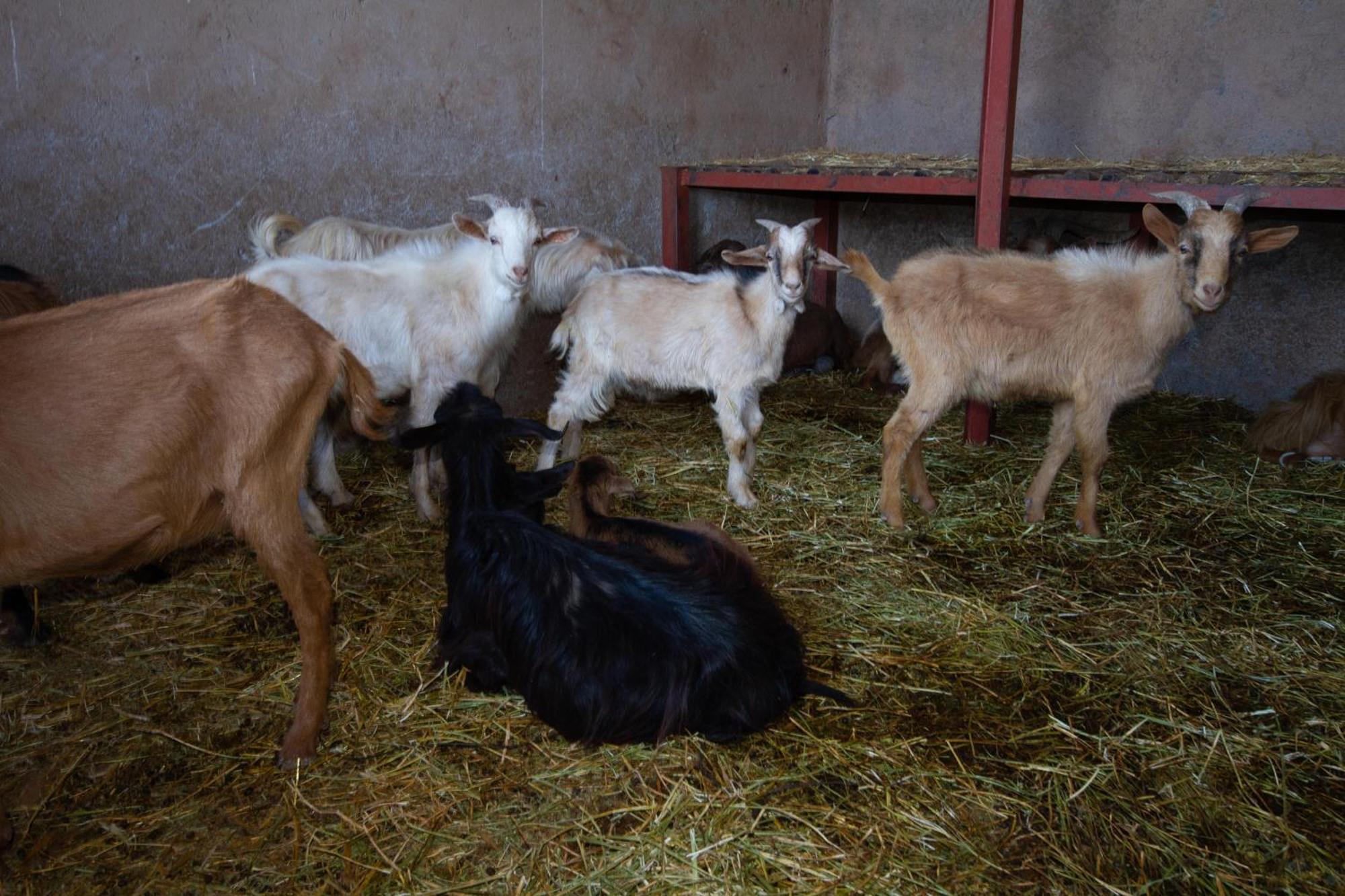 La Ferme De Lalladom Tameslouht Extérieur photo