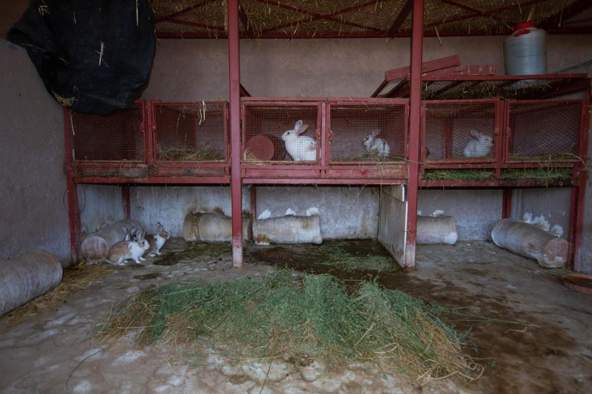 La Ferme De Lalladom Tameslouht Extérieur photo